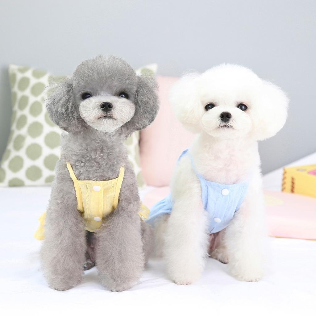 2023 Spring and Summer Dog Skirt Pet Clothes Installed Teddy Chenery Small Dogs Pearl Fresh Cotton Skirt Dog Clothes Dog Dress