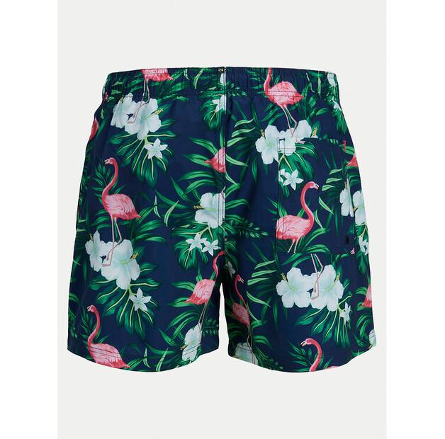 Шорты пляжные Jack & Jones Maui
