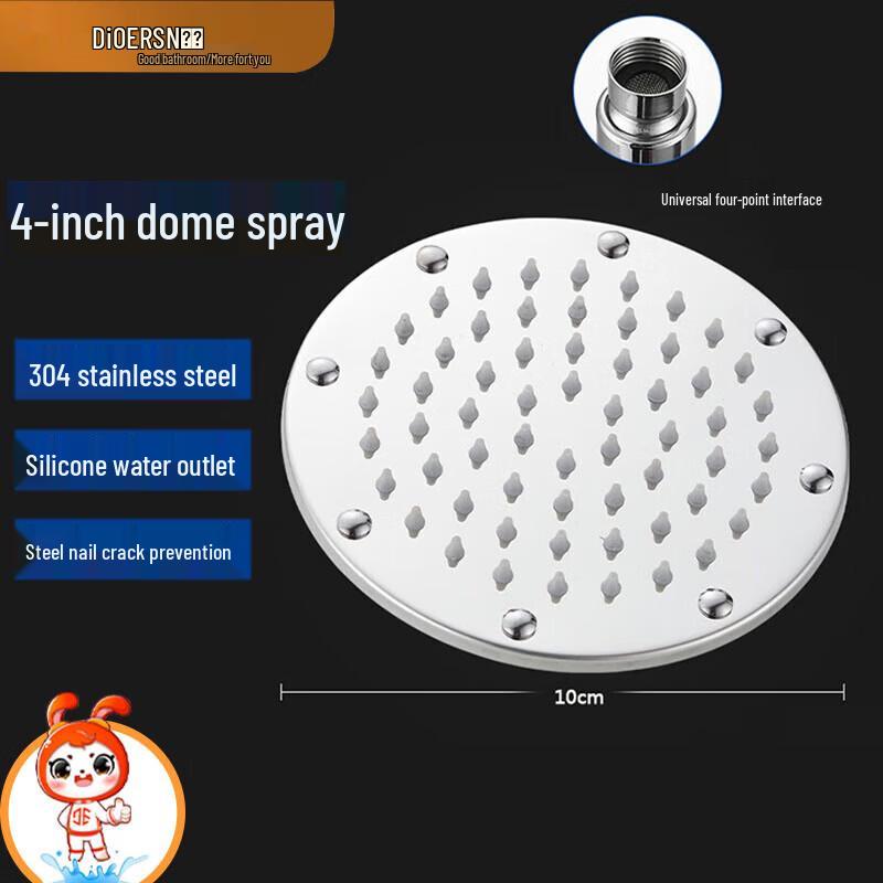 Deel Stainless Steel Shower Head