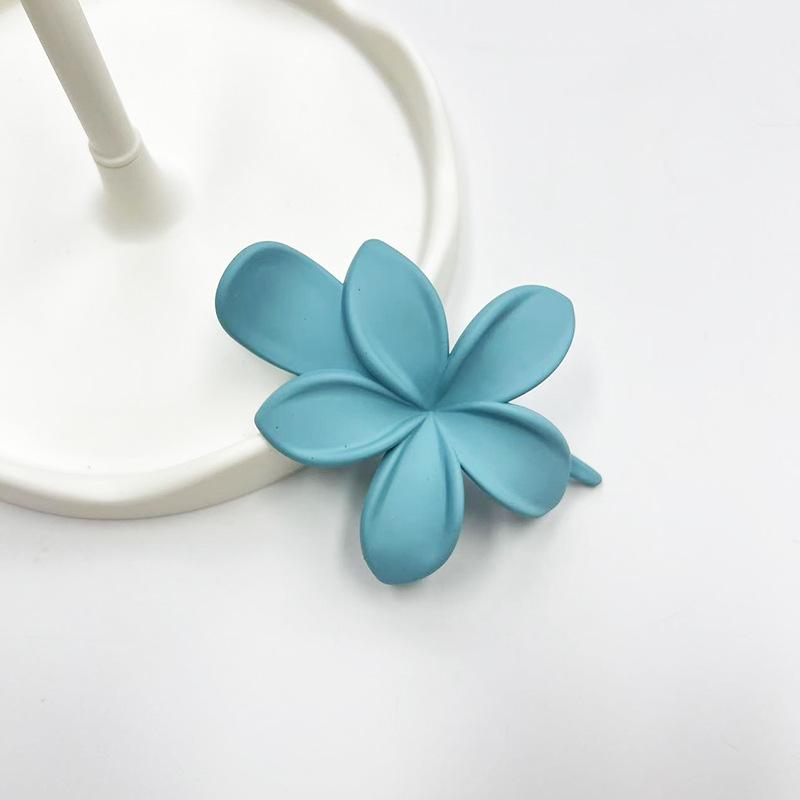 Pinces à Cheveux en Plastique Givré Forme Fleur Mode Filles Pince Crabe Bec de Canard Mignon Accessoires de Tête Barrette Antidérapante Épingles à Cheveux Cheveux Acc