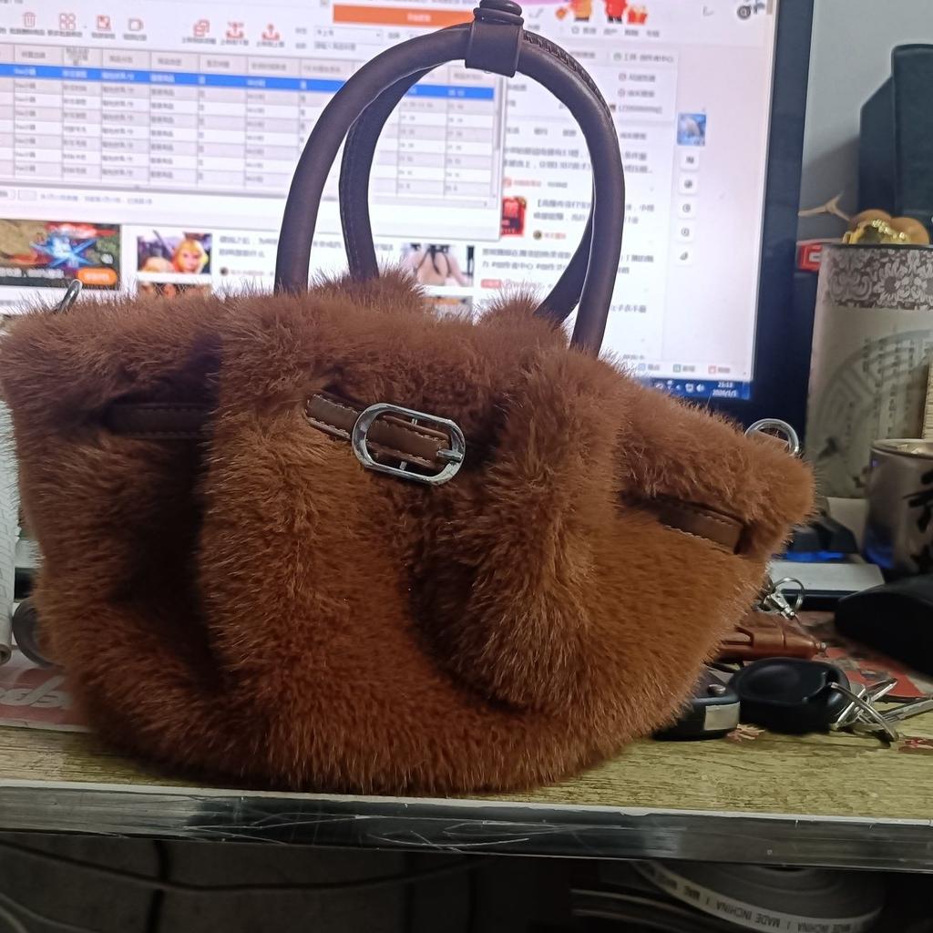 Winter Plush Bag Women's New Fashion Versatile Crossbody Bag Exquisite Handbag