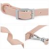 Set Collar Leash Pet PVC Cat Collar Leashes For Small Medium Big Dog Outdoor Walk