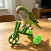 Parrot Training Bicycle, Funny Parrot Bike Training Toy, Creative Green Parrot Training Bike for Birds Intelligent Development