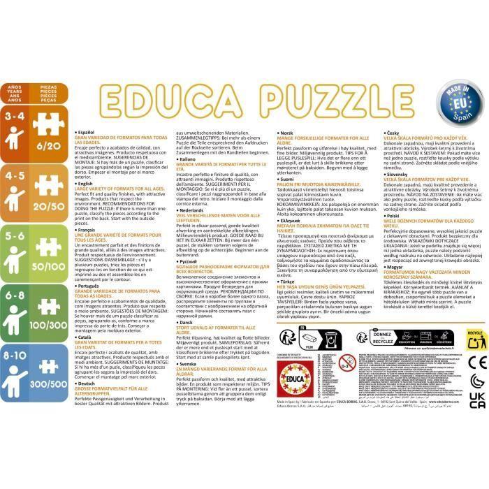 Puzzle - EDUCA - Petit Ours Brun : Ensemble de 2 puzzles de 48 pièces pour enfants dès 4 ans