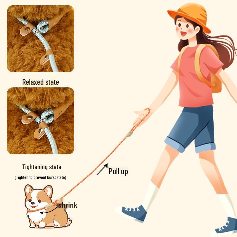 Universal Buckle Dog Leash for Medium & Large Dogs - P Chain Collar