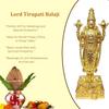 Lord Tirupati Balaji-statyett med Garuda-statyett för Mandir-bönerum Lord Vishnu Shree Venkateswara Swamy-staty Gud Balaji Heminredning Prydnadssak
