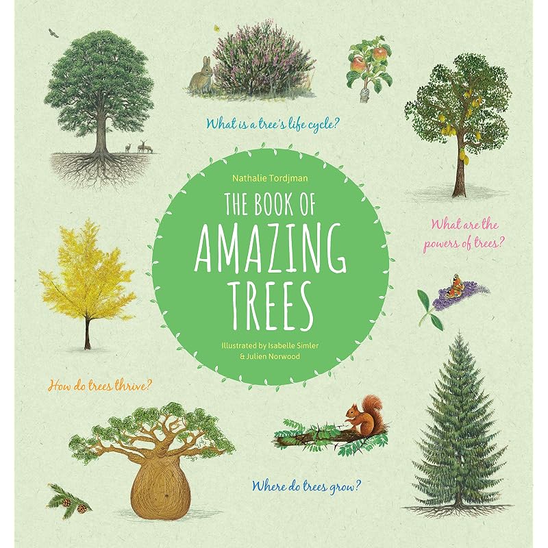Book of Amazing Trees: Exceptional Woodworking Tools and Their Makers