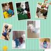 Denim Hunde Kleidung Jeans Haustier Hunde Kleidung Für Kleine Mittelgroße Hunde Kostüm Chihuahua Kleidung Für Hunde Mantel Jacke Welpen Haustier Jumpsuit