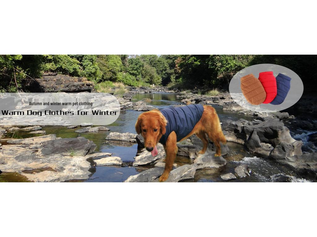 Thickened Cotton Snap Button Jacket for Dogs - Autumn/Winter Pet Apparel