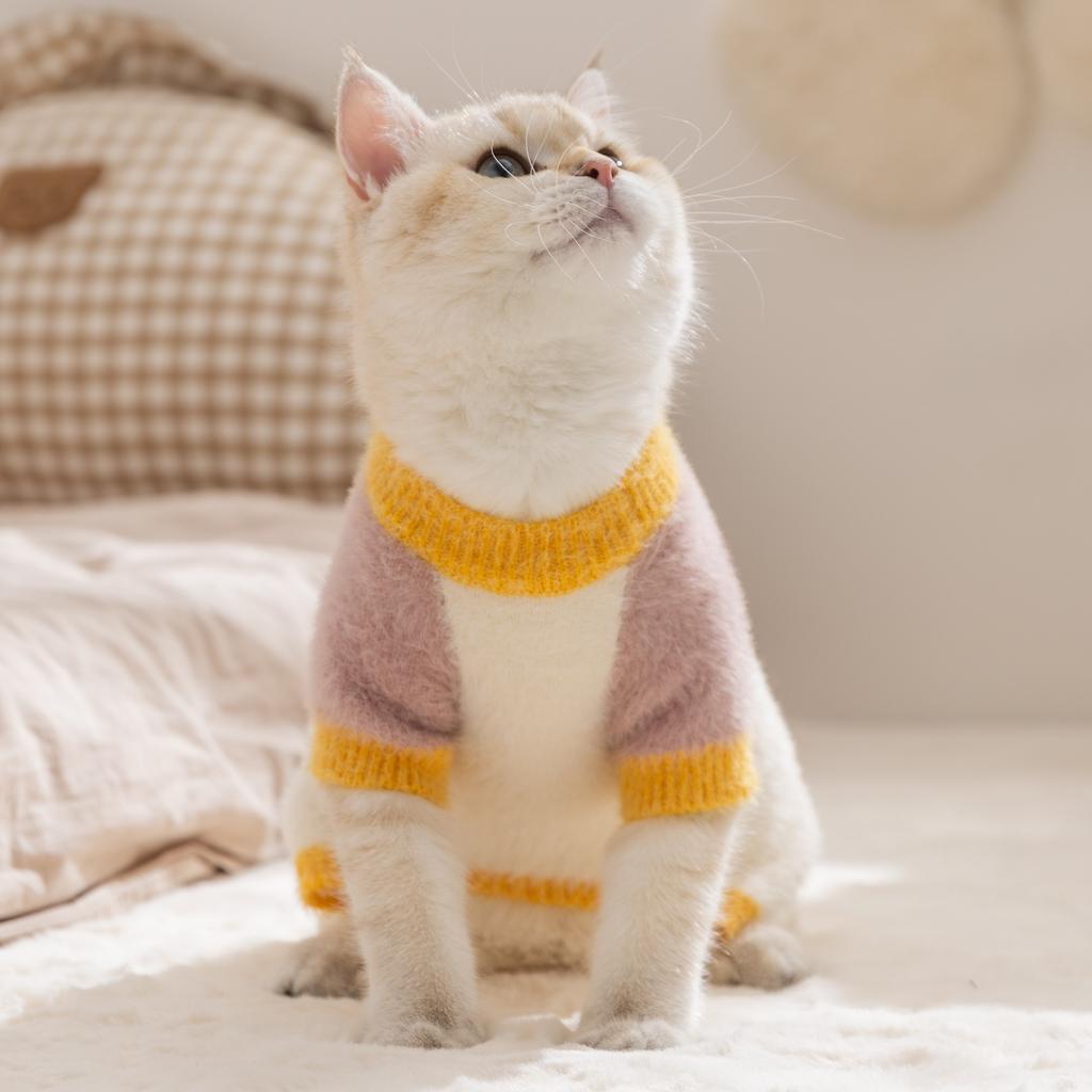 Pet clothes autumn and winter plush four-legged sweater cat German cat hairless cat cat clothes