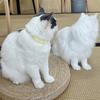 Set of 5 Soft Plush Cat Collars with Colorful Pompoms for Cat Dogs Birthday Party Cat Neckwear Festival Pet Collars