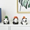 Vaso Fioriera in Ceramica Bianca e Nera Panda Creativo Animale Cartone Animato Carino Pianta Fioriera Vaso in Porcellana Decorazione per la Casa Nuovo