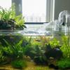 New Acrylic Fish Tank Duckbill Nozzle Adjustable Aquarium Filter Pump Rotating Water Outlet Return Pipe Connector Plumbing Fitti