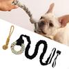Bungee Dog Toy Exercise for Small Large Aggressive Chewers Dogs Hanging from Tree Tether