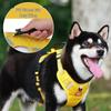 Cães – Colares e correias para cães
