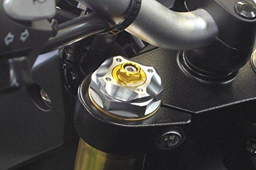 Spezialteile Takegawa Gabelbrückenoberteil Silbernes Gehäuse/Goldene Kappe