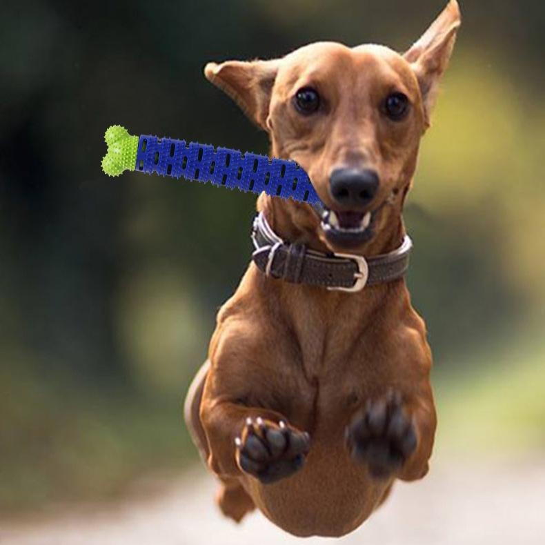 Bite Simulation Bone Grinding Stick Dog Toy Wear-resistant Massage Teeth Cleaning Interactive Advanced TPR Plastic Pet Supplies
