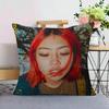 Singer BBeabadoobee Cushion Cover Pillow Cover Decor Pillowcase Printed Cushion Case For Couch