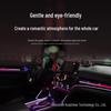 Honda Accord 2018-2022 Car Ambient Light Kit