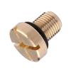 Upgrade Your Cooling System With This Premium Vent Screw For BMW Radiator Compatible With E36 E46 E39 17111712788