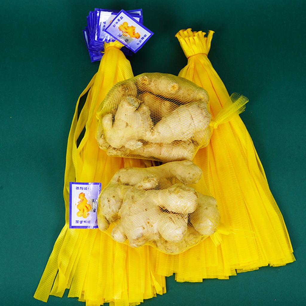 100PCS Garlic Ginger Packing Mesh Bags Breathable Net Sacks Convenient Mesh Pouch for Home Kitchen Storage