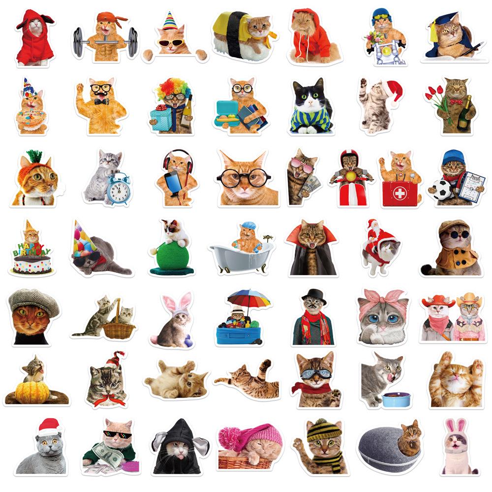 50 Cat & Dog Emoji Stickers: Waterproof for Suitcases, Water Bottles, Guitars
