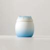 Gradient Color Funeral Urn for Pets Household Sealed Dog Cat Cremation Urns  for Kitchen