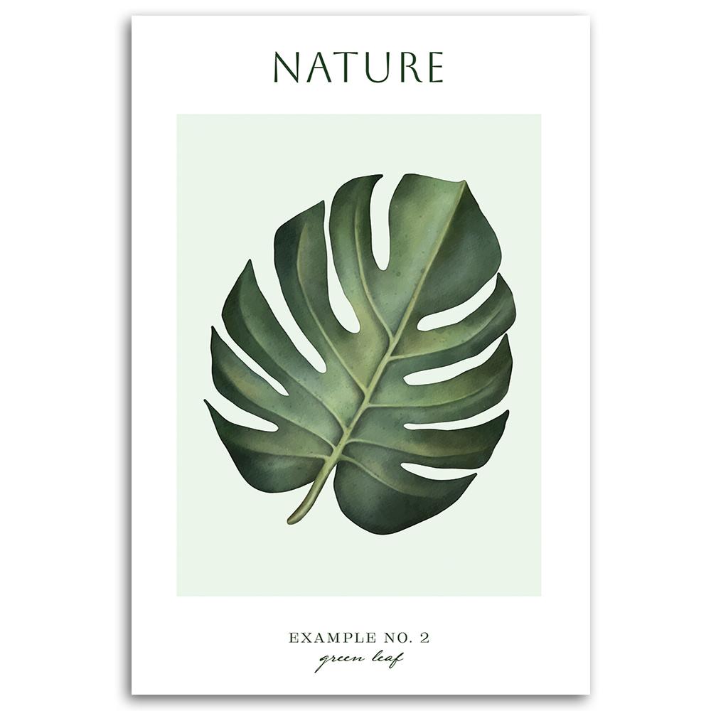 Canvas print, Green leaf - Nature