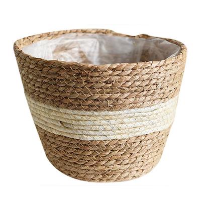 עיצוב הבית – עציצים דקורטיביים