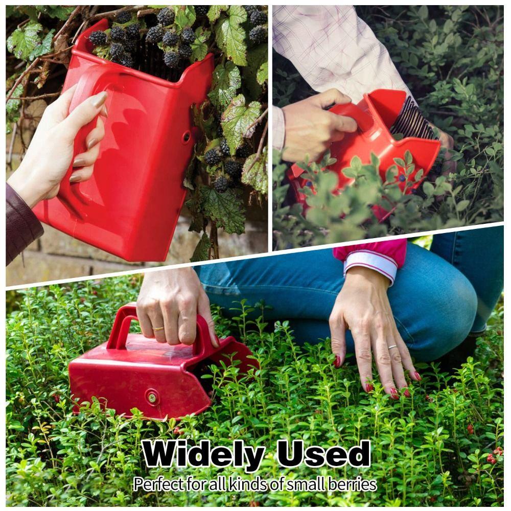 Picking Berry Harvester Scoop Metal Comb Rakes Blueberry Picker Scoop Design Effective Berry Picking Rakes Fruit Harvesting