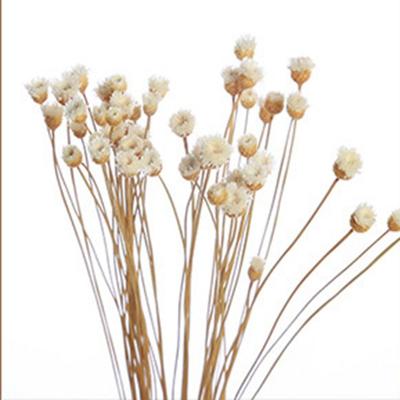 Handmade Fragrance Living Room Artificial Flower Dried Flowers Aromatic Incense Diffuser Sticks