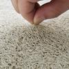 Door Floor Mat Dirt-Resistant Leave-In Pvc Silk Ring Floor Mat Cute Household Entrance Door Mat Foot Pad