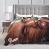 K-kanyes W-wests Funny Meme Blanket Multi-size Cozy and Lightweight  Throw Blankets for Sofa Couch and Bed