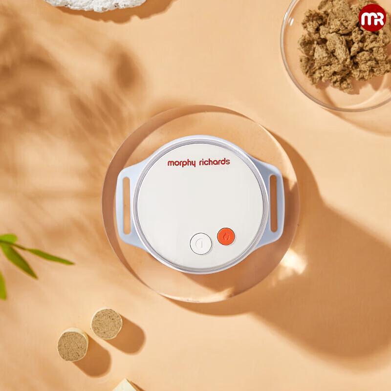 Morphy Richards Smart Moxibustion Massager MR2159 CN plug (adapter included)