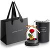 Amorosa Moderno Preserved Flower Little Bell "Beauty and the Beast" Disney Edition with Shopper Bag - Rose Gift - Perfect for Birthdays, Weddings, Ann