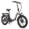 Electric Bike FAFREES 20" 250W Motor Top Speed 25km/h 36V 18AH Max Range 150Km Load 150Kg F20 Pro