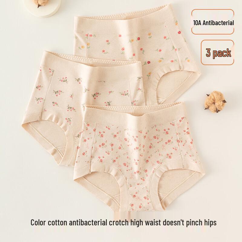 DingGuagua Women's High-Waist Cotton Antibacterial Floral Print Briefs 3-Pack