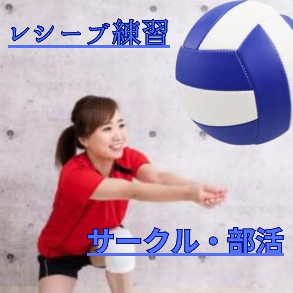 ASPALAND Volleyball, Size 5, Practice Ball, Suitable for Beginners, Recreational Activities, Club Activities, Air Pump, and Net Included, Blue & White