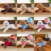 Hoodie Teddy Dog Plush Toy Cute Cartoon Collar Animal Doll Girl Gift Birthday