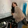 Nuovo Cappotto di Pelliccia Autunno Inverno da Donna, Stile Corto Imitazione Pelliccia di Volpe, Scollo a V, Piccola Statura, Lusso Leggero, Versione Coreana, Abbigliamento Popolare da Donna
