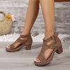 Large Size Women's Shoes Summer New Thick Heels High Heels Hollow Fish Mouth Sandals Women