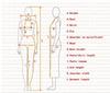 Anime Heren Yu Narukami Outfit Cosplay Kostuum Schooluniform Jas Shirt Broek Halloween Kerst Outfit Pak