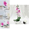 Durable Plastic Butterfly Orchid Fake Plant With Textured Finish For Celebrations And Photo Shoots