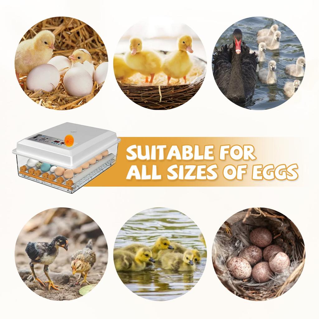 16/36 Egg Incubator for Hatching Chickens, Automatic Egg Turner, Clear Candler for Poultry, Duck, Goose Eggs