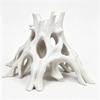 3D Printed Aquarium Fish Shelter Tree Trunk Driftwood Landscape  Hermit Crabs Habitat