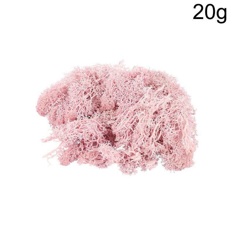20g Artificial Preserved Moss Eternal Life Green Grass for DIY Crafts Mini Landscape Living Room Home Garden Decoration Supplies