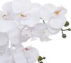 Atmosphera Riva dried plant White