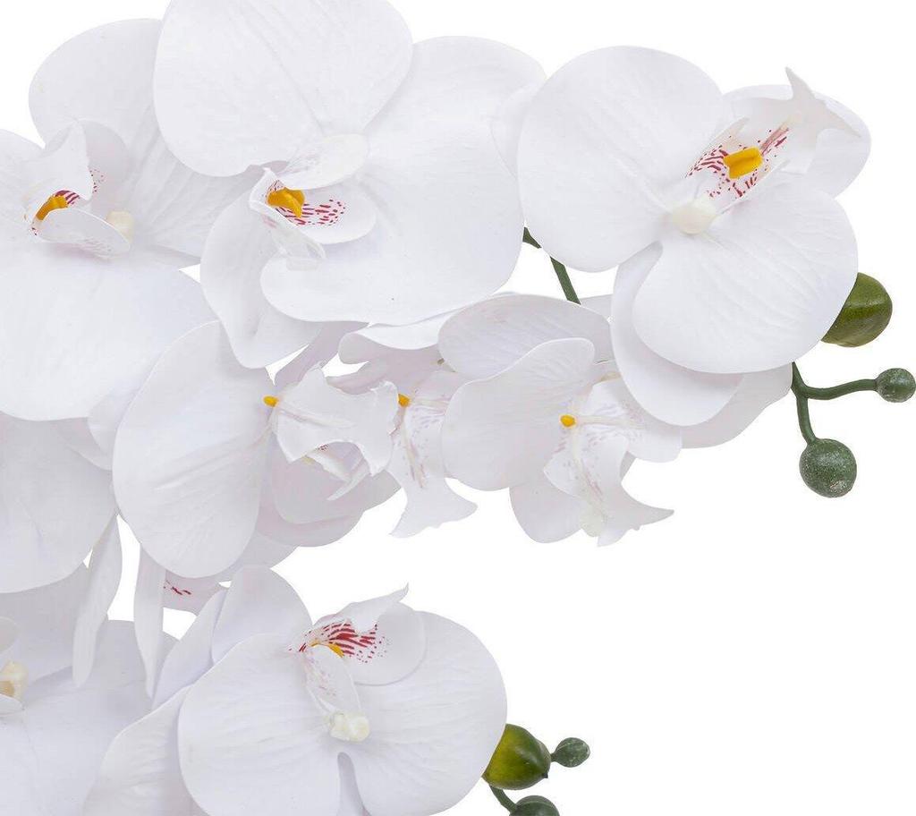 Atmosphera Riva dried plant White