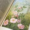 [USED] Rare American Vintage Antique Wild Plant Encyclopedia