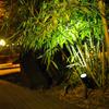 1PC Solar Spotlight Plug-in Lawn Light LED Projection Light Outdoor Waterproof Garden Landscape Garden Decoration Garden Light